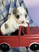 processed/4df8049c-4f53-4de8-be64-9a405263fab4/facility/5fb54290-c328-4b36-80ab-d7b92b68278f