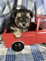 processed/4df8049c-4f53-4de8-be64-9a405263fab4/facility/8984e4f3-0fa2-4e11-8db5-deda2dd92bdd