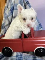 processed/4df8049c-4f53-4de8-be64-9a405263fab4/facility/ae7f24a3-5c6e-4d00-9f42-5b428ff05758