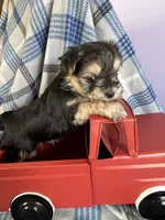 processed/4df8049c-4f53-4de8-be64-9a405263fab4/facility/d41a169a-2649-4111-967c-e1278a583963