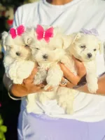 processed/4df9a285-a4f5-4fdf-aef0-6e5c4333a487/facility/51e5005d-264c-4201-8154-5d3519d880a3