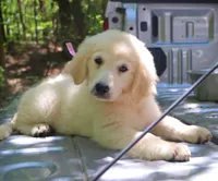 processed/4dfbeede-ae18-40fc-89a6-e7e0a7c116cb/facility/184e90c8-4ce2-45ed-b052-d95e5c5b9d2f