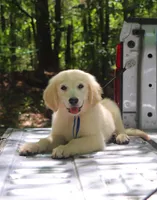 processed/4dfbeede-ae18-40fc-89a6-e7e0a7c116cb/facility/3c34d686-b658-4eaa-b285-0e0298a6cb5c