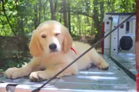 processed/4dfbeede-ae18-40fc-89a6-e7e0a7c116cb/facility/b1944bc9-61f0-4a1b-ae38-b433f4fffcf3