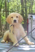 processed/4dfbeede-ae18-40fc-89a6-e7e0a7c116cb/facility/b9ad3e51-d7bc-462a-895c-b8fd88a29126