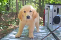 processed/4dfbeede-ae18-40fc-89a6-e7e0a7c116cb/facility/e626da4a-7a2f-4e5a-81c2-a86098174dea