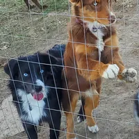 processed/4dfed72c-15e5-4810-a6e0-9af4652e5acc/facility/0d4bf1df-29de-4c19-a086-612cace2fd8f