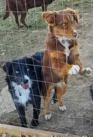 processed/4dfed72c-15e5-4810-a6e0-9af4652e5acc/facility/0d4bf1df-29de-4c19-a086-612cace2fd8f