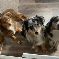 processed/4dfed72c-15e5-4810-a6e0-9af4652e5acc/facility/28a3119c-4f05-4730-ac88-cc4f6a06205b