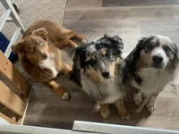 processed/4dfed72c-15e5-4810-a6e0-9af4652e5acc/facility/28a3119c-4f05-4730-ac88-cc4f6a06205b