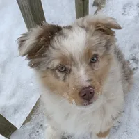 processed/4dfed72c-15e5-4810-a6e0-9af4652e5acc/facility/3e7ac4cd-51c7-4ca8-bd1e-4699350af302