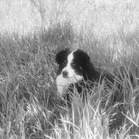 processed/4dfed72c-15e5-4810-a6e0-9af4652e5acc/facility/415b7995-3054-4022-b00e-80c6c2999cd6