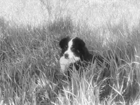 processed/4dfed72c-15e5-4810-a6e0-9af4652e5acc/facility/415b7995-3054-4022-b00e-80c6c2999cd6