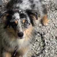 processed/4dfed72c-15e5-4810-a6e0-9af4652e5acc/facility/44a9605a-5051-4ab8-bc1f-6c508e5bfc7d