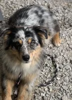 processed/4dfed72c-15e5-4810-a6e0-9af4652e5acc/facility/44a9605a-5051-4ab8-bc1f-6c508e5bfc7d