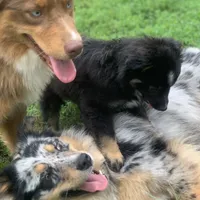 processed/4dfed72c-15e5-4810-a6e0-9af4652e5acc/facility/630b028f-41c2-4ec0-b156-94c32625ef0e