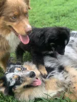 processed/4dfed72c-15e5-4810-a6e0-9af4652e5acc/facility/630b028f-41c2-4ec0-b156-94c32625ef0e