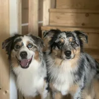 processed/4dfed72c-15e5-4810-a6e0-9af4652e5acc/facility/71e00f6a-74ae-4d6a-b62e-c2933d3aac8c