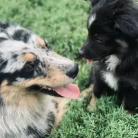 processed/4dfed72c-15e5-4810-a6e0-9af4652e5acc/facility/796b064b-a11c-45f1-8429-bc20bfb10942