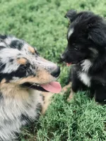 processed/4dfed72c-15e5-4810-a6e0-9af4652e5acc/facility/796b064b-a11c-45f1-8429-bc20bfb10942