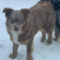 processed/4dfed72c-15e5-4810-a6e0-9af4652e5acc/facility/7e0aa1a9-db6d-4aa6-b2af-4b684241f800