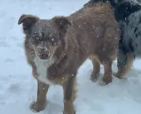 processed/4dfed72c-15e5-4810-a6e0-9af4652e5acc/facility/7e0aa1a9-db6d-4aa6-b2af-4b684241f800