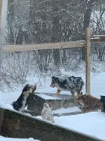 processed/4dfed72c-15e5-4810-a6e0-9af4652e5acc/facility/e2e5b73a-a26e-494a-a9ef-75b2e1eb0c78