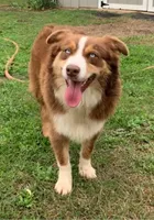 processed/4dfed72c-15e5-4810-a6e0-9af4652e5acc/listing/b49acd23-a95c-4105-8c31-f18f9affdf8f/13010c78-8c0e-4d8f-a2a3-dc45c35a1d6f