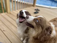 processed/4dfed72c-15e5-4810-a6e0-9af4652e5acc/listing/b49acd23-a95c-4105-8c31-f18f9affdf8f/ec48db82-1d03-4b4d-b3d1-920561f301ed