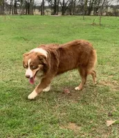 processed/4dfed72c-15e5-4810-a6e0-9af4652e5acc/listing/b49acd23-a95c-4105-8c31-f18f9affdf8f/f884c0e7-eae6-49f4-8673-a6c23fd3f68e