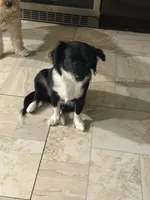 processed/4e05d877-a55f-492e-a9c8-67d2dcdf7e7c/listing/94decd93-e240-480f-95f8-9b04773639a1/2de17331-32e8-4ece-8259-95957d944253