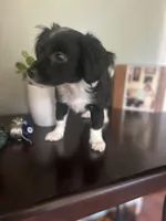 processed/4e05d877-a55f-492e-a9c8-67d2dcdf7e7c/listing/94decd93-e240-480f-95f8-9b04773639a1/69087165-3956-41ac-9cfd-ba4179307ec3