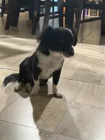 processed/4e05d877-a55f-492e-a9c8-67d2dcdf7e7c/listing/94decd93-e240-480f-95f8-9b04773639a1/751df4f8-7c6a-4c4d-8f22-938296fa8127