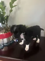 processed/4e05d877-a55f-492e-a9c8-67d2dcdf7e7c/listing/94decd93-e240-480f-95f8-9b04773639a1/9cfcbb97-404d-4148-bacf-c314809e62d0