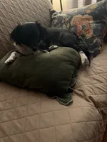 processed/4e05d877-a55f-492e-a9c8-67d2dcdf7e7c/listing/94decd93-e240-480f-95f8-9b04773639a1/a54aed3b-79c3-4eb8-9d35-1591b8a85f50