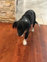 processed/4e05d877-a55f-492e-a9c8-67d2dcdf7e7c/listing/94decd93-e240-480f-95f8-9b04773639a1/e94696e9-0898-47a7-8583-1ca9734d239e