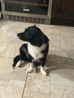 processed/4e05d877-a55f-492e-a9c8-67d2dcdf7e7c/listing/94decd93-e240-480f-95f8-9b04773639a1/f4f41b02-2c67-46b3-bf7c-6bbf66406b1c