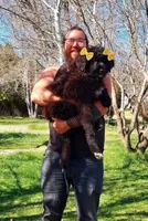Sophia, a female Newfoundland for sale in Kennewick, WA – 1 of 2