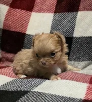 processed/4e1d169f-6796-4d82-b1fb-d7d808e84527/listing/36455dfa-b89c-45db-b00b-cd76db51369b/860c6c48-9186-40ff-a131-889539e375a5