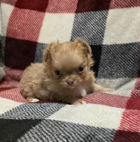 processed/4e1d169f-6796-4d82-b1fb-d7d808e84527/listing/36455dfa-b89c-45db-b00b-cd76db51369b/d68ed2a0-fb9a-4ef4-888d-15fa16ac35d2