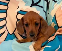 processed/4e2e1b7c-2fcd-4608-b54f-c94b87a78911/listing/10529782-ee05-4d9f-b8aa-5c97444a76d3/b41529d7-ca3d-40d9-9c2d-0bacb781697d