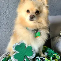 processed/4e3c08e4-484b-4646-9034-200418494c54/facility/3266d5fe-5fd6-4b9b-a42d-eb3e5603efb1