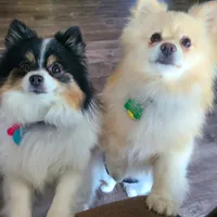 processed/4e3c08e4-484b-4646-9034-200418494c54/facility/63daf368-3fe7-4ff7-85aa-00da100e07d2