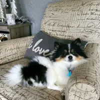 processed/4e3c08e4-484b-4646-9034-200418494c54/facility/693cec46-188c-4543-b2ff-46002d8825d7