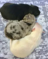 processed/4e3c08e4-484b-4646-9034-200418494c54/facility/9d70f299-898f-42a0-9952-ca39b52365b5