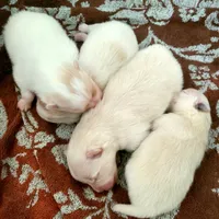 processed/4e3c08e4-484b-4646-9034-200418494c54/facility/bb047c55-271d-4642-8d39-15dcfe3a5293