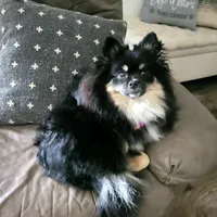 processed/4e3c08e4-484b-4646-9034-200418494c54/facility/d5c4df1a-a296-440d-925e-b1204638c55e