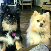 processed/4e3c08e4-484b-4646-9034-200418494c54/facility/d8f9daf7-6d93-427d-bd91-3f0900c8fb34