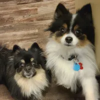 processed/4e3c08e4-484b-4646-9034-200418494c54/facility/e1e97749-dc50-4650-b97f-ad8ea3d64f05