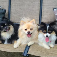 processed/4e3c08e4-484b-4646-9034-200418494c54/facility/f7863a97-a608-4947-b2d2-83ebda33853c